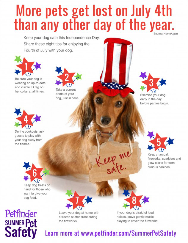 petfinder keep your pet safe