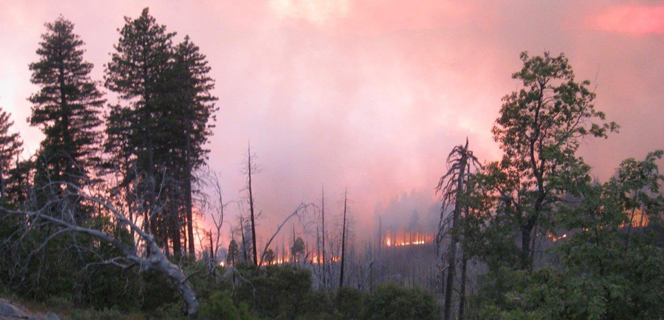 willow fire bass lake madera county credit forest service header