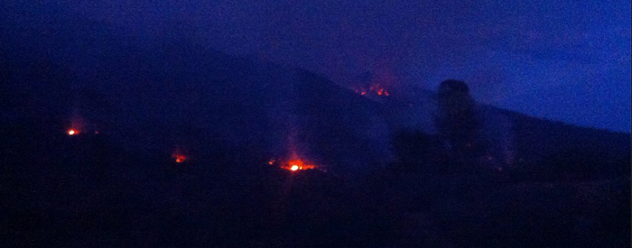 willow fire burns in madera county july 31 2015