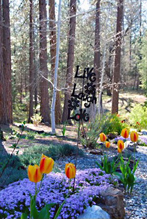 Spring