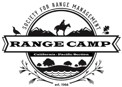 RC logo