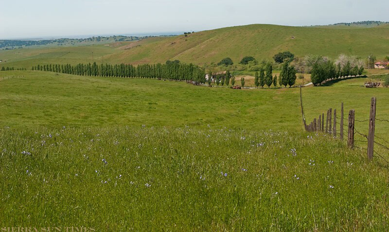 spring hornitos area mariposa county