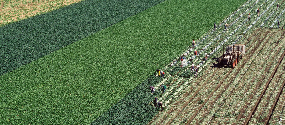 imgfarmwork credit ucanr