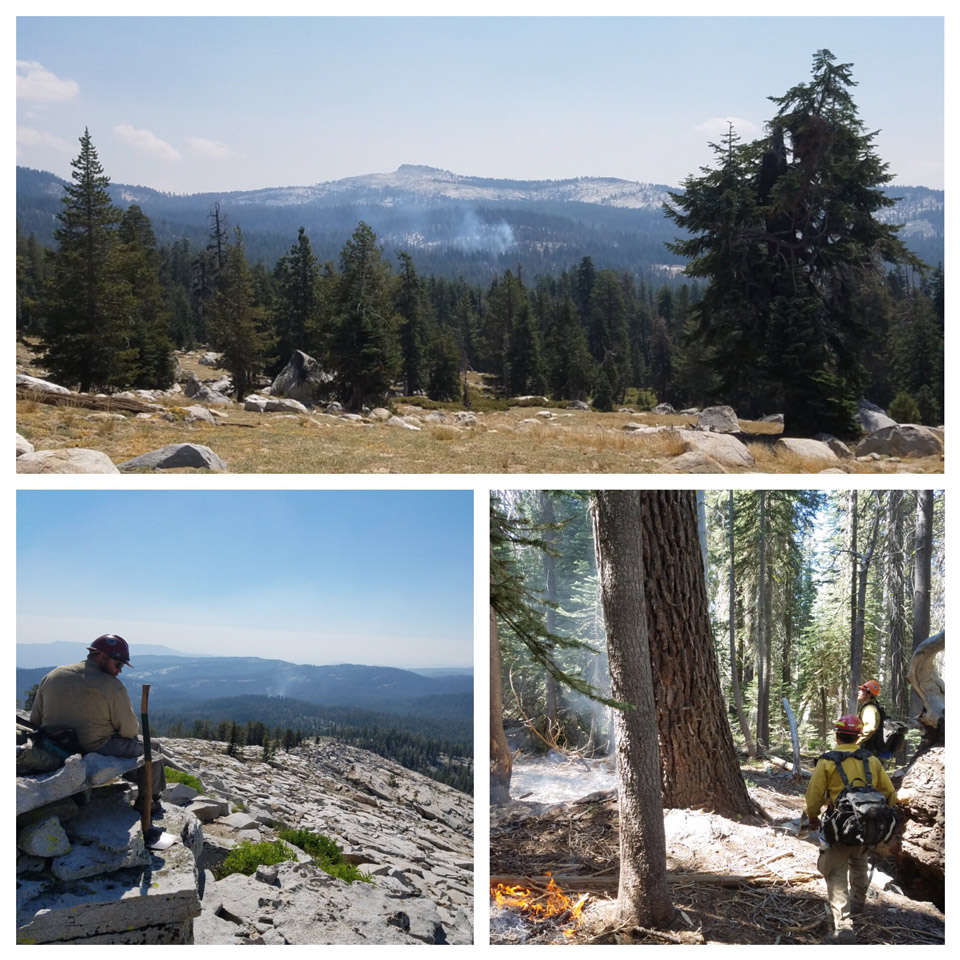 yosemite lakes fire credit yosemite fire management
