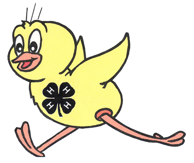 camp tweety