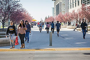uc merced busy scholars lane