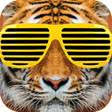 after school app mariposa county sheriff department