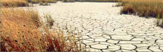 drought usgs