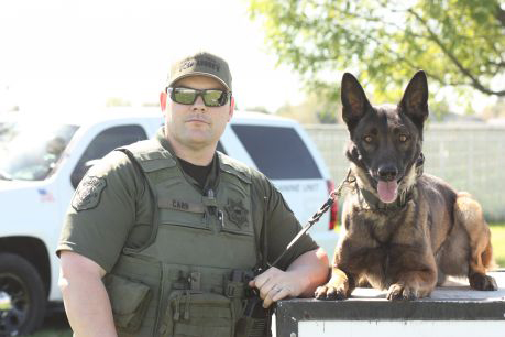 stanislaus county sheriff canine rocky 1