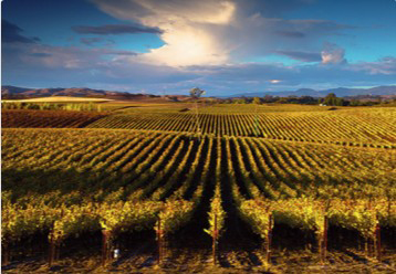 2015 california farm bureau federation photo contest grand prize winner