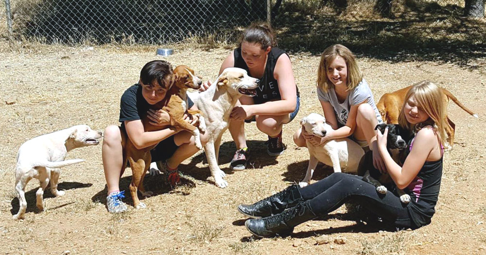 SPCA Volunteers