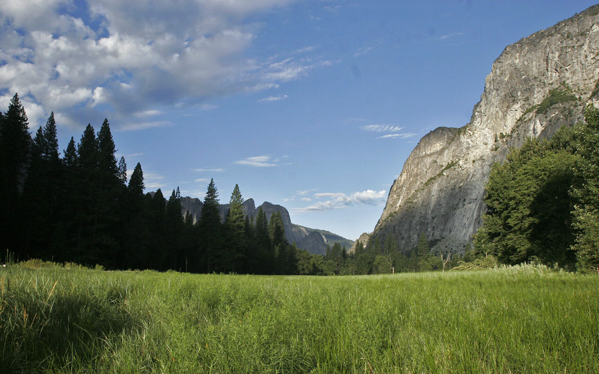 a meadow in yosemite1 052 sierra sun times