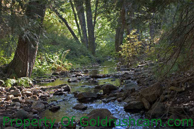 mariposa county creek for gold panning sierra sun times