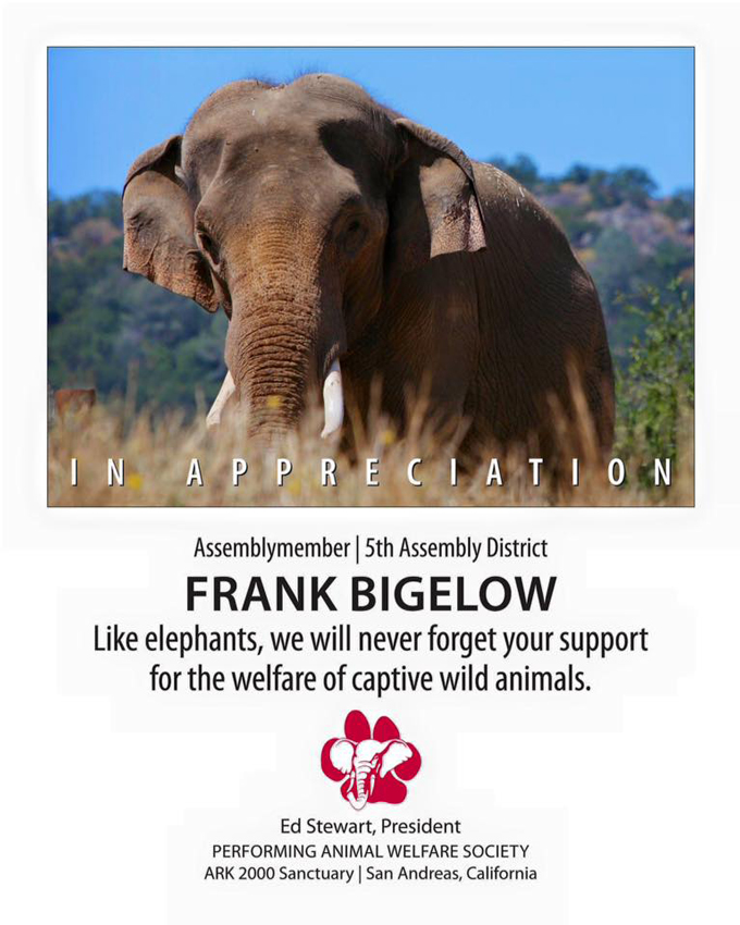 assemblyman frank bigelow paws 2