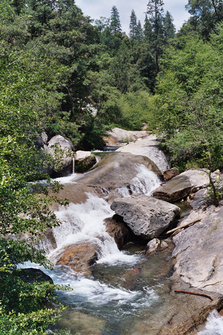 sierra national forest stelprdb5306514