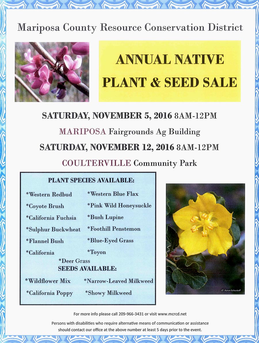 11 5 16 Plant Sale