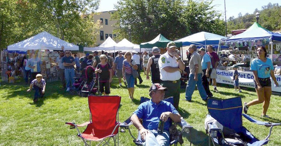 CoyoteFest 1
