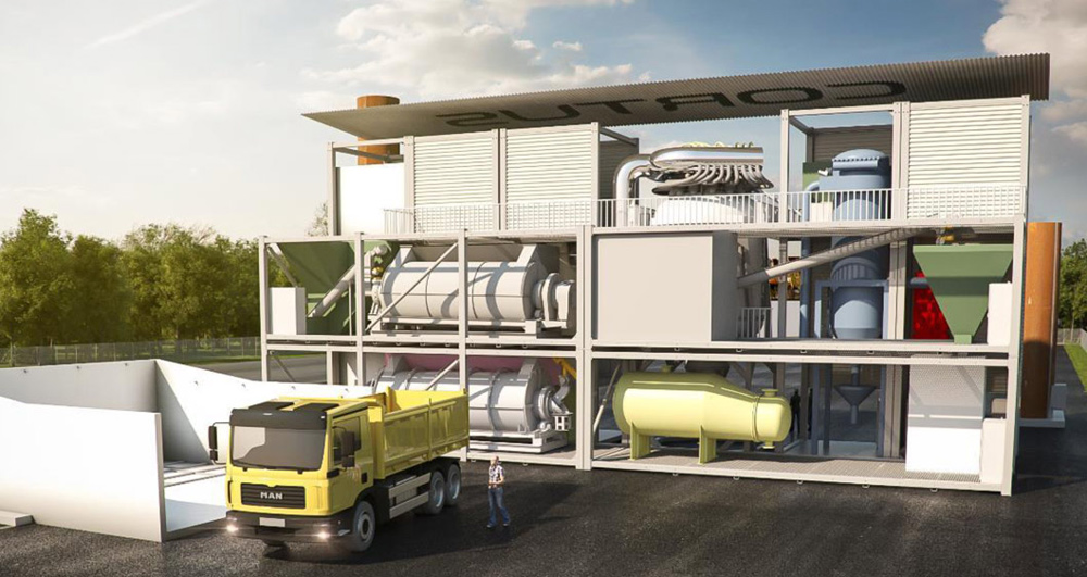 cortus woodroll plant