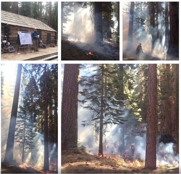 yosemite mariposa grove prescribed fire october 12 2016 nps credit