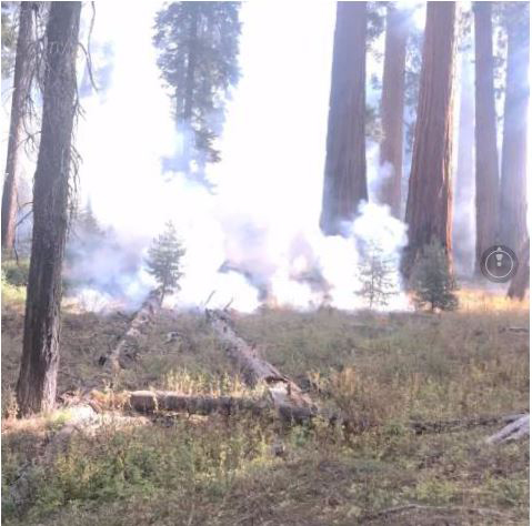 yosemite mariposa grove prescribed fire october 13 2016 nps credit