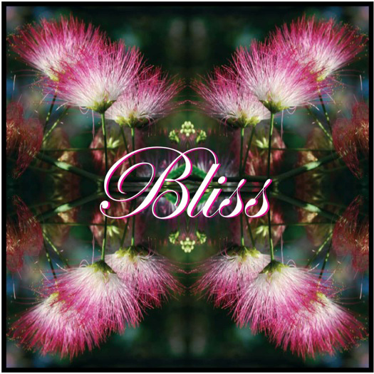 Ocean Jones bliss