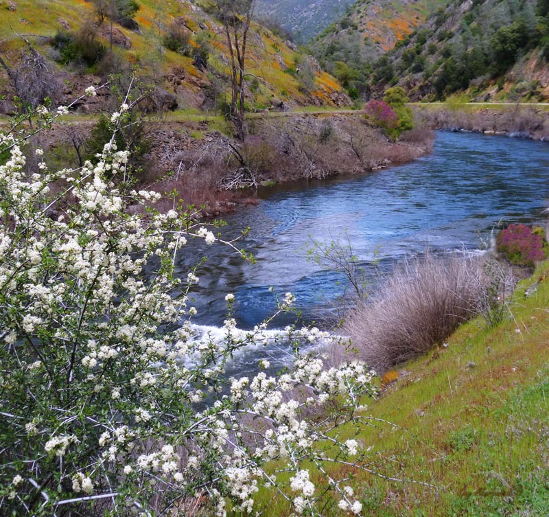 Sierra Art Trails Gay Abarbanell Merced River Yosemite