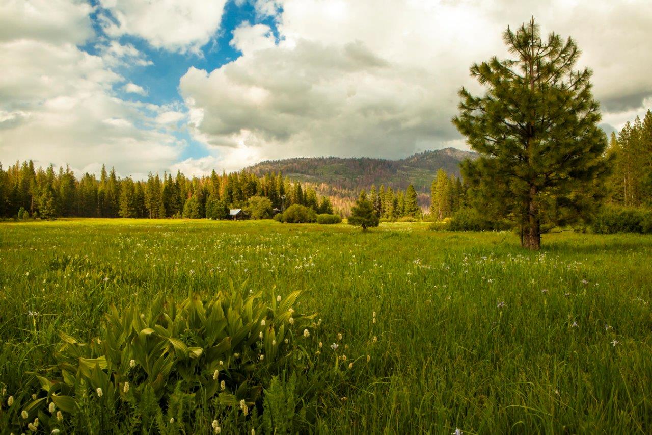 ackerson meadow yosemite credit nps
