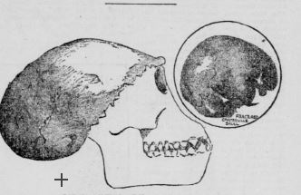 java skull coulterville san francisco call january8 1898