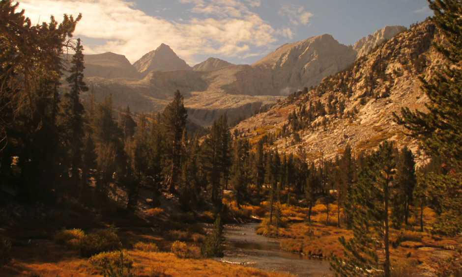 Sequoia and Kings Canyon National Park. Photo by Jeff Sambur (www.sharetheexperience.org). sequoianp jeffsambur ste web