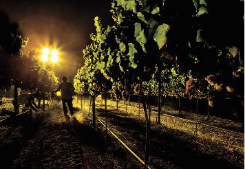 2016 california farm bureau federation photo contest grand prize winner andrew lincoln