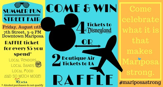 8 11 17 Summer Fun Street Fair Raffle