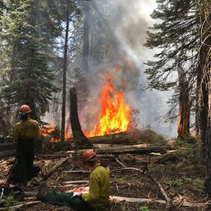 yosemite empire fire 1 credit nps