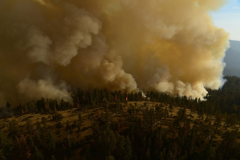yosemite south fork fire photo 8132017