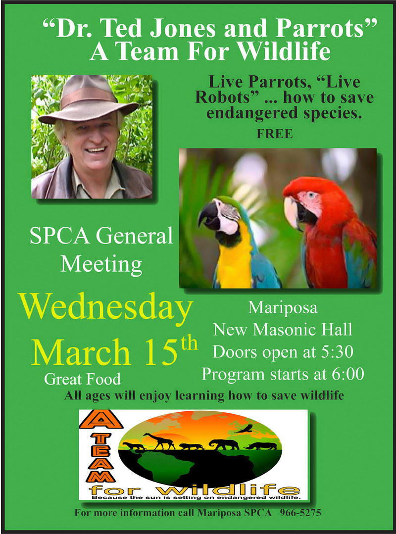 3 15 17 SPCA