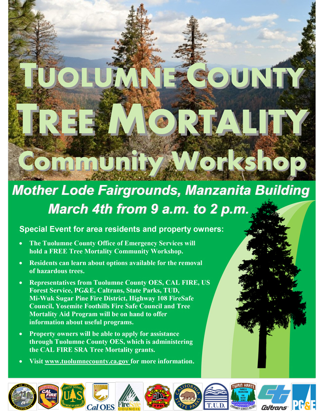 tuolumne county tree mortality workshop march 4 2017