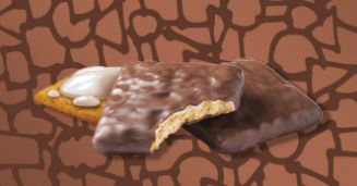 girl scout smores