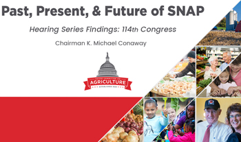 snap report graphic