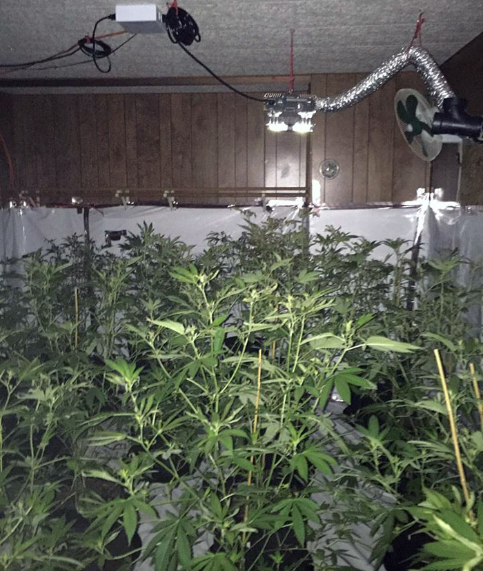 7 27 17 mariposa county sheriffs office bust 2