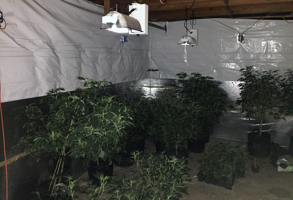 7 27 17 mariposa county sheriffs office bust 3