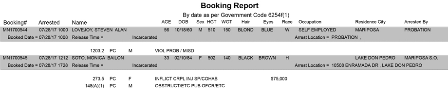 mariposa county booking report for july 28 2017