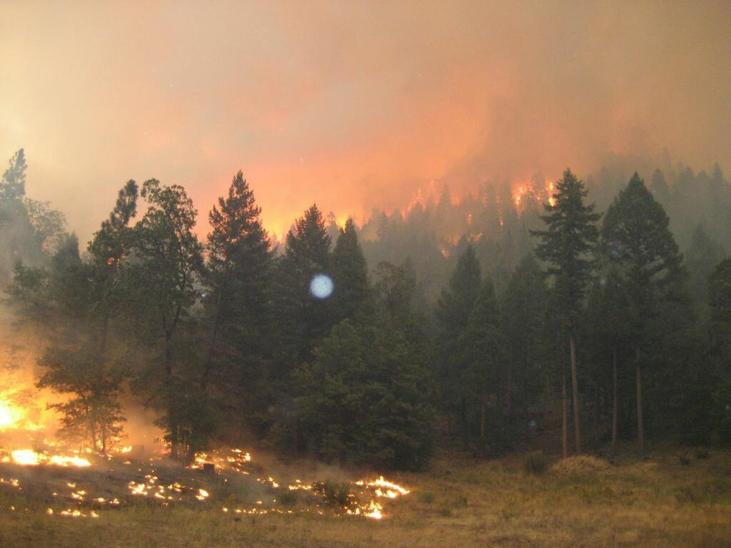 moonlight fire usfs