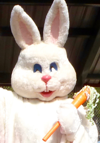 Easter P1080526