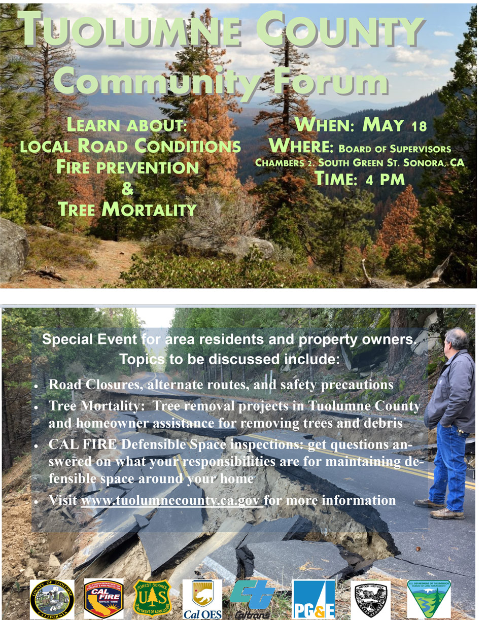 tuolumne county tree mortality storm damage workshop flyer