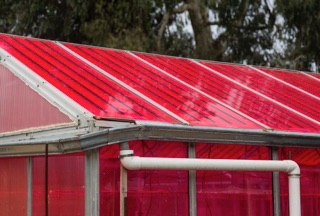 loik greenhouse 320