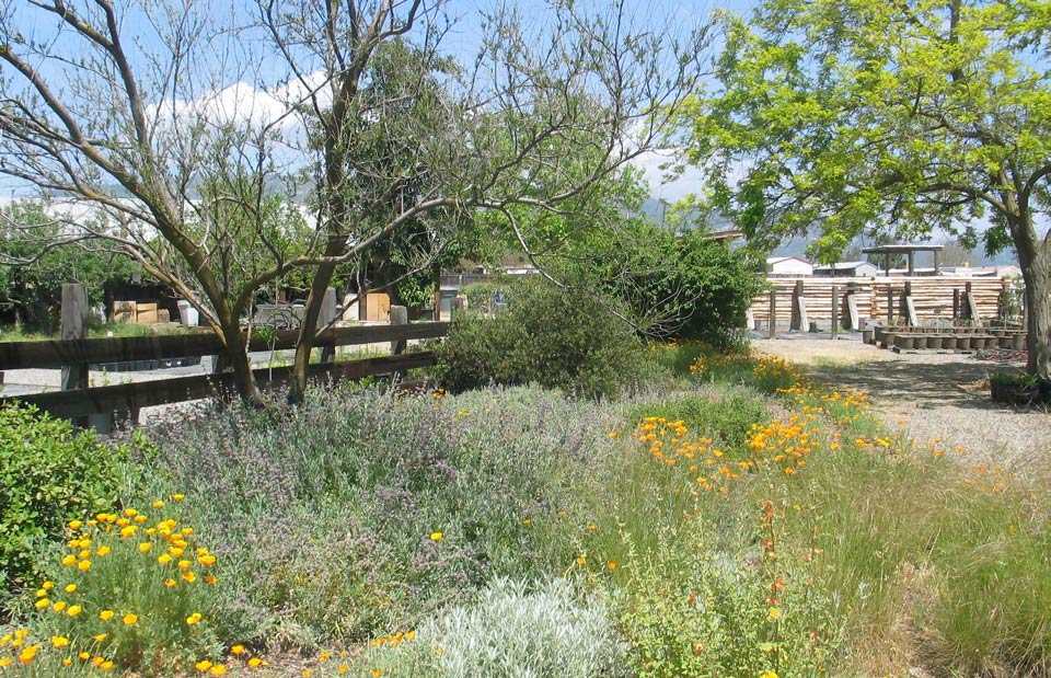 Master Gardeners Fence Garden May 08 cr