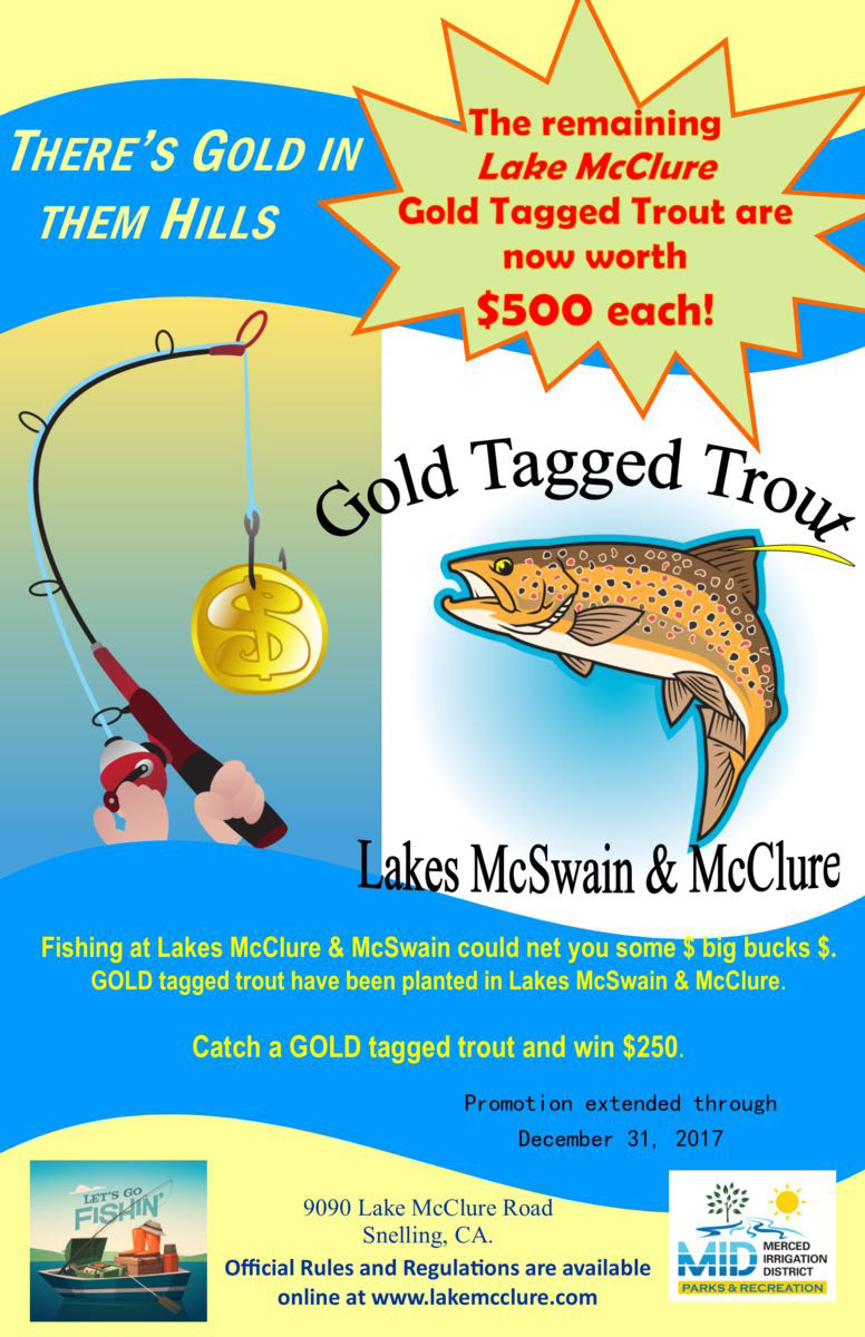 gold tagged trout 500 update 2017