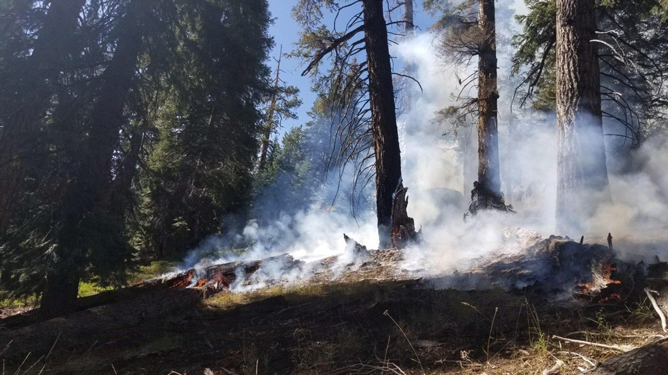 sierra national forest october 2017 prescribed fires 1