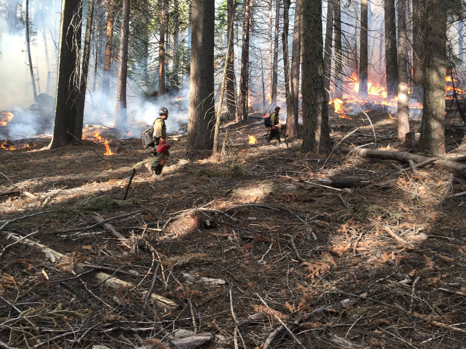 sierra national forest teakettle burn 1