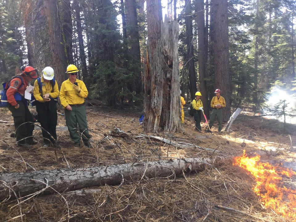 w trex empire fire yosemite credit nps 1