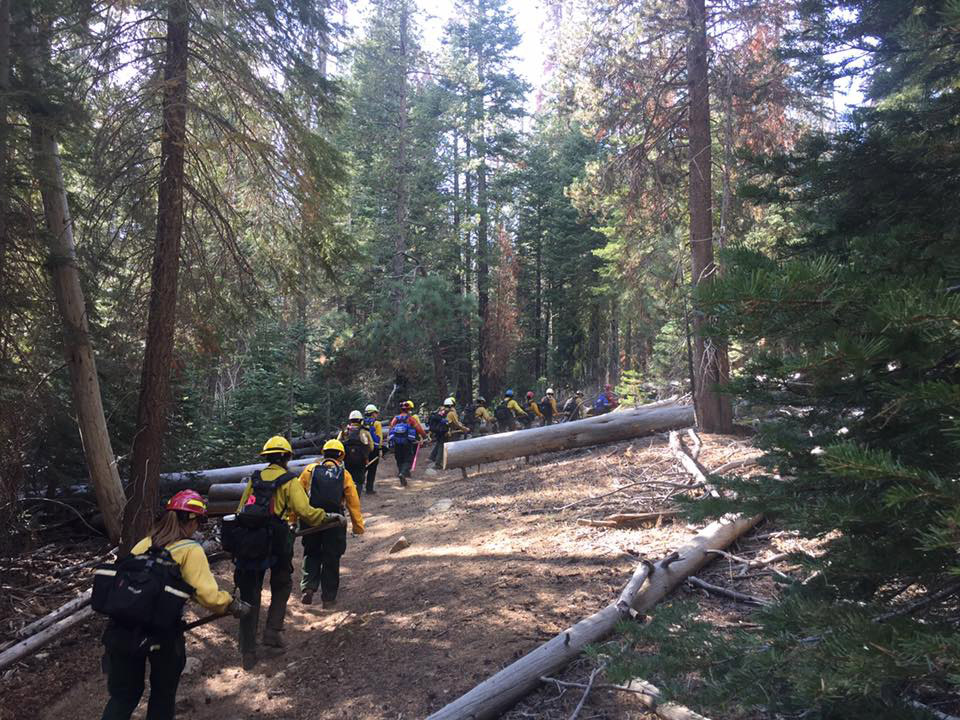 w trex empire fire yosemite credit nps 3
